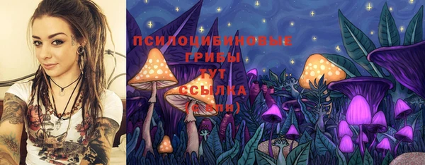 мет Россошь